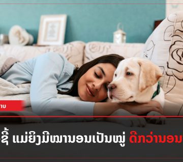 Add a subheading 77 360x320