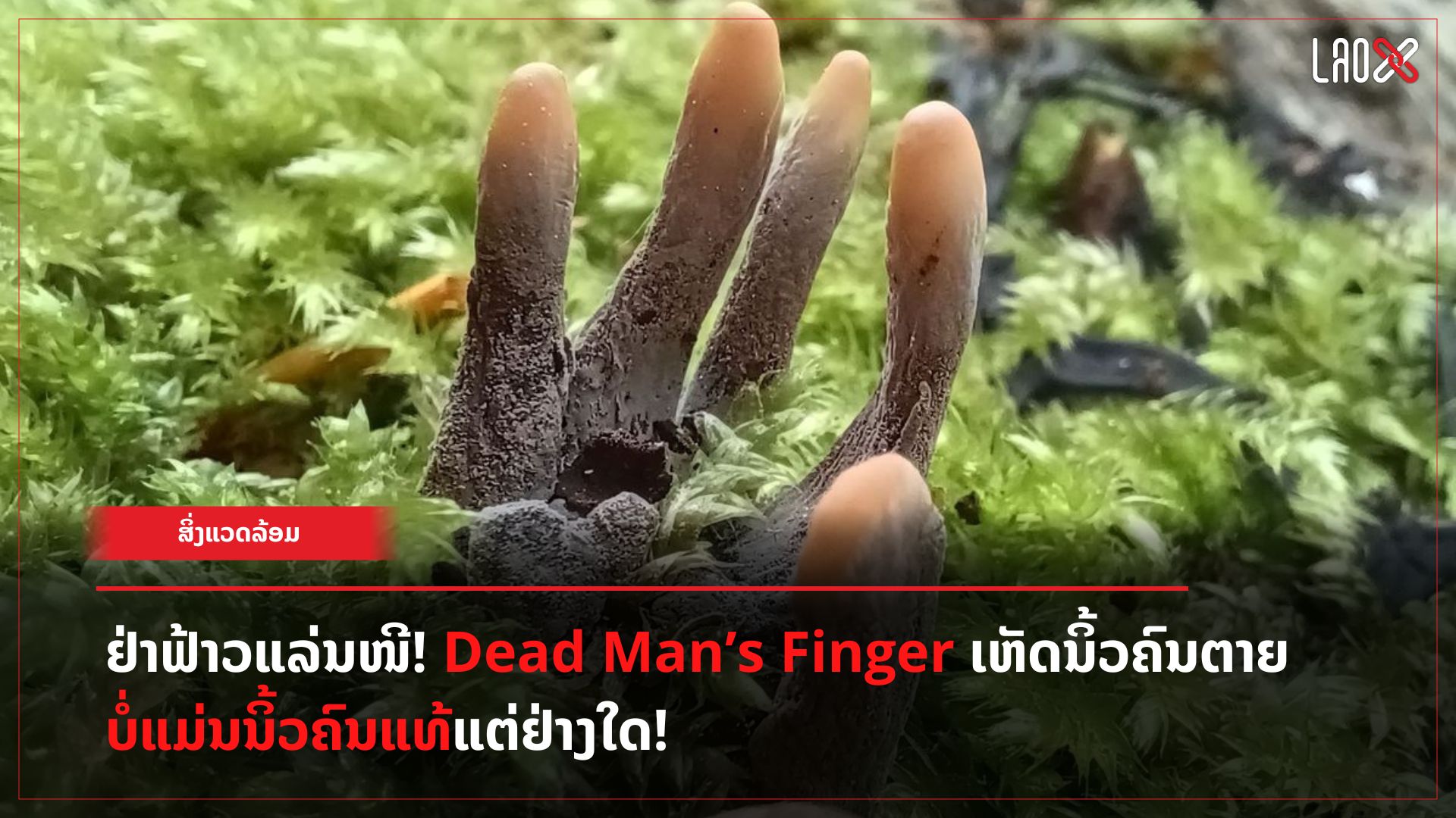 Dead Man’s Finger