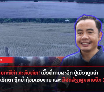 Add a subheading 2023 08 10T152002 293 360x320