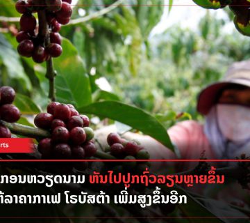 Lao Xperts 92 360x320