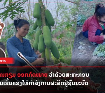 Lao Xperts 2024 06 20T125410 483 360x320