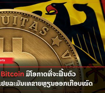 Lao Xperts 36 360x320