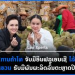 ປົກເວັບ 1 1 150x150