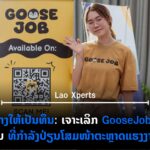 ປົກເວັບ 17 150x150