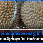 ປົກເວັບ 9 150x150