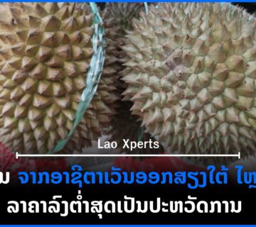 ປົກເວັບ 9 360x320