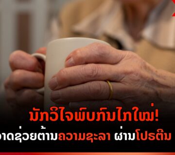 Coffee webn 360x320