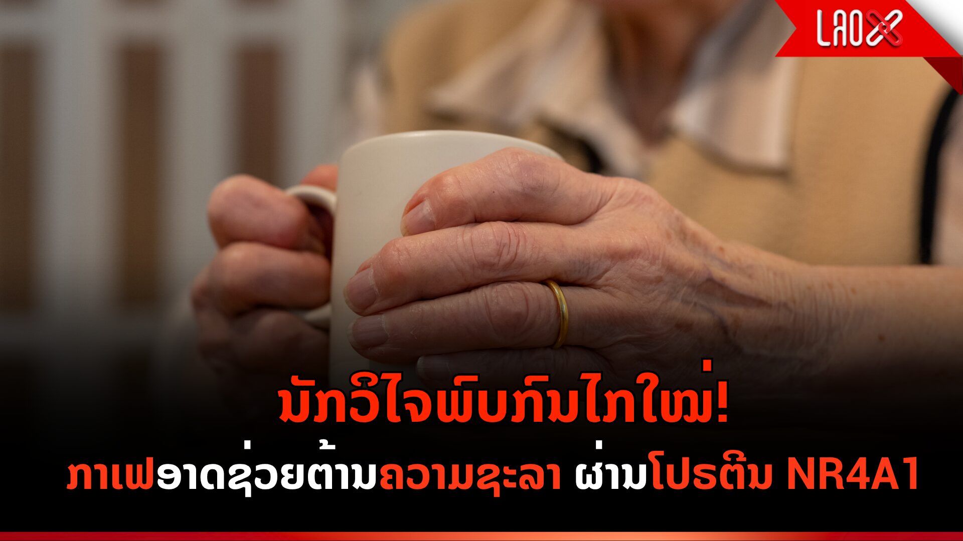 Coffee webn