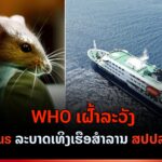 Hantavirus web 150x150