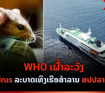 Hantavirus web 360x320