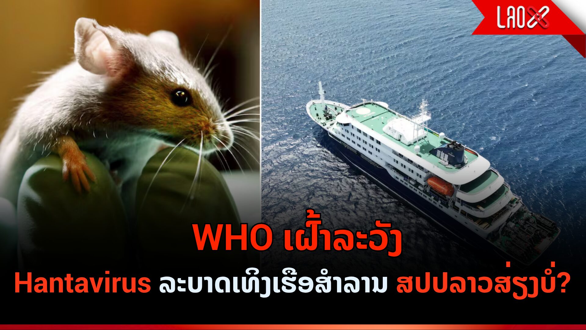 Hantavirus web