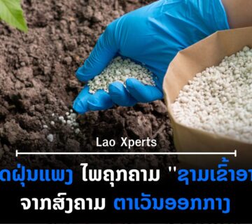 ປົກເວັບ 35 360x320