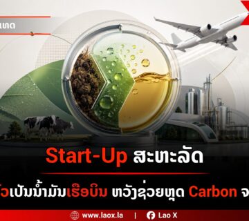 Saf web 360x320
