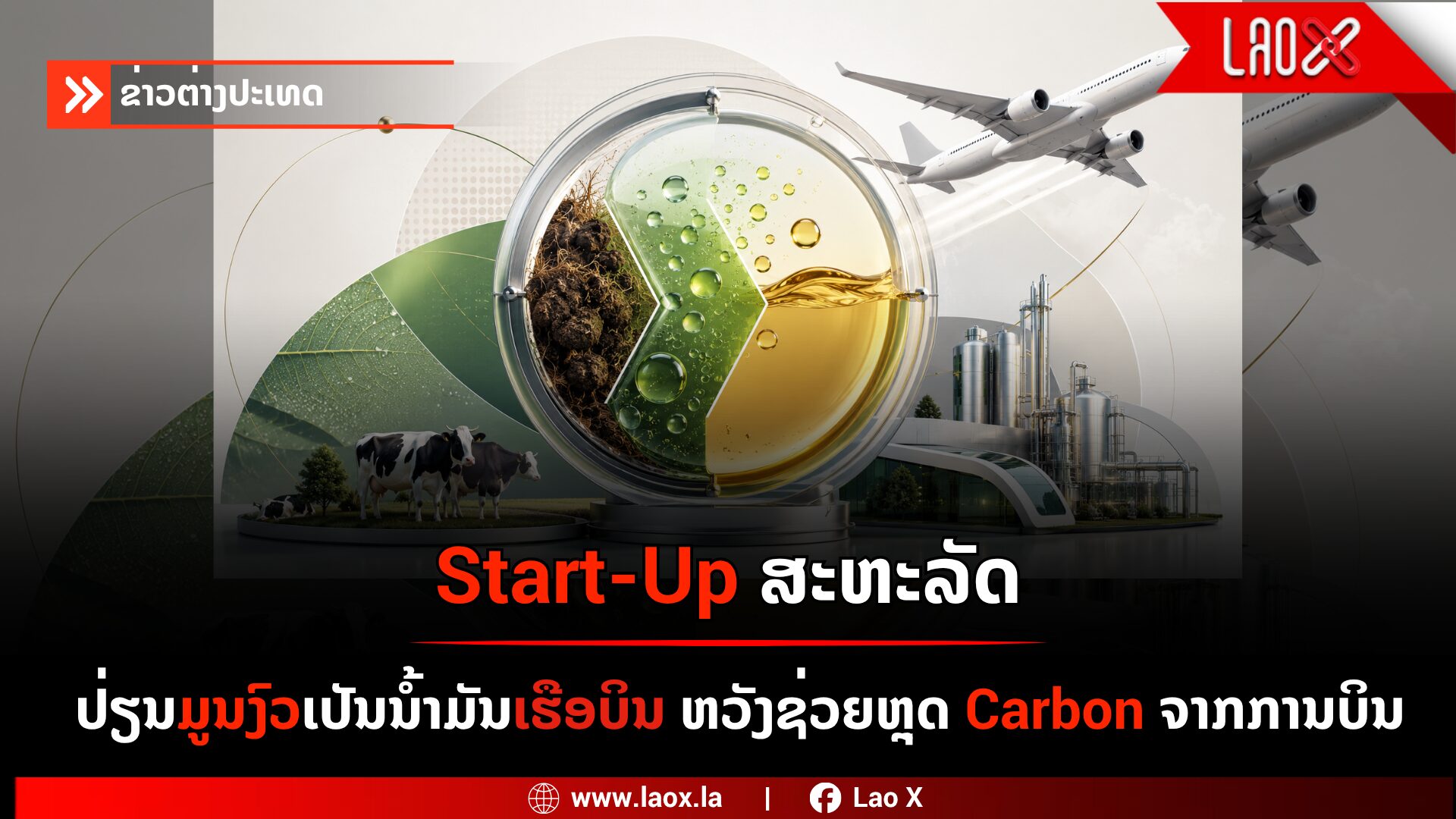 Saf web
