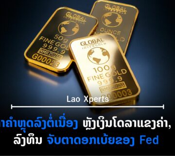 ປົກເວັບ 2026 07 29T101956 373 360x320