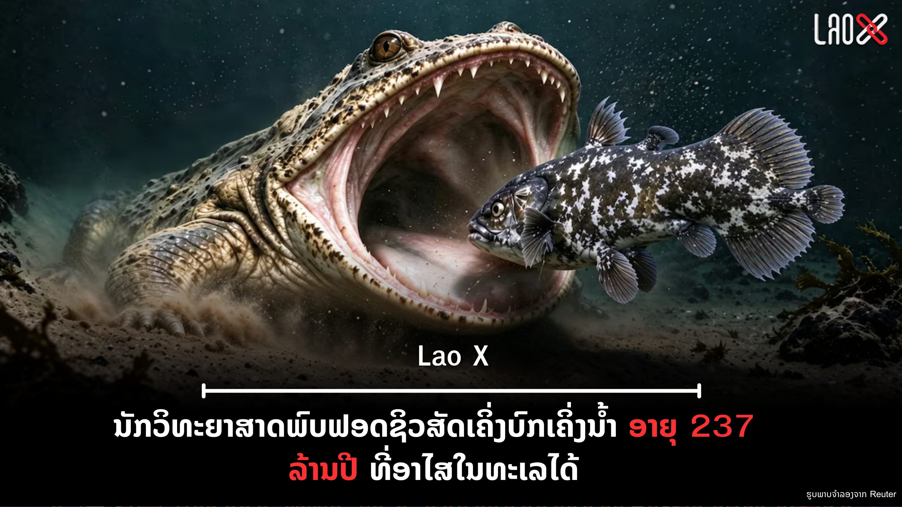ປົກເວັບ 15 1
