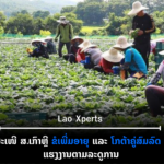 ປົກເວັບ 2026 10 14T141253 454 150x150