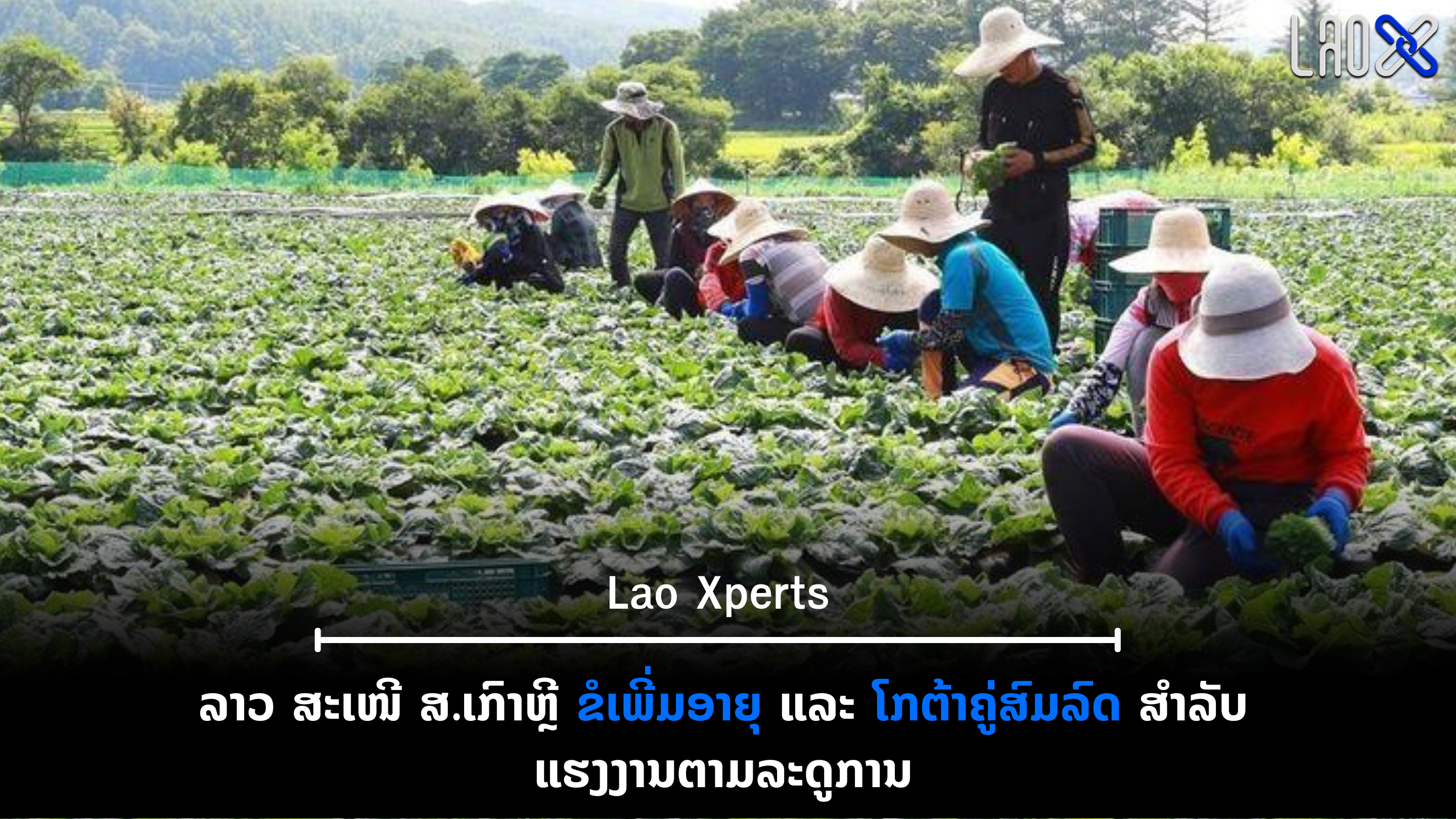 ປົກເວັບ 2026 10 14T141253 454