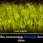 ປົກເວັບ 2026 10 15T105458 541 150x150