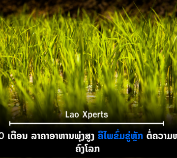 ປົກເວັບ 2026 10 15T105458 541 360x320