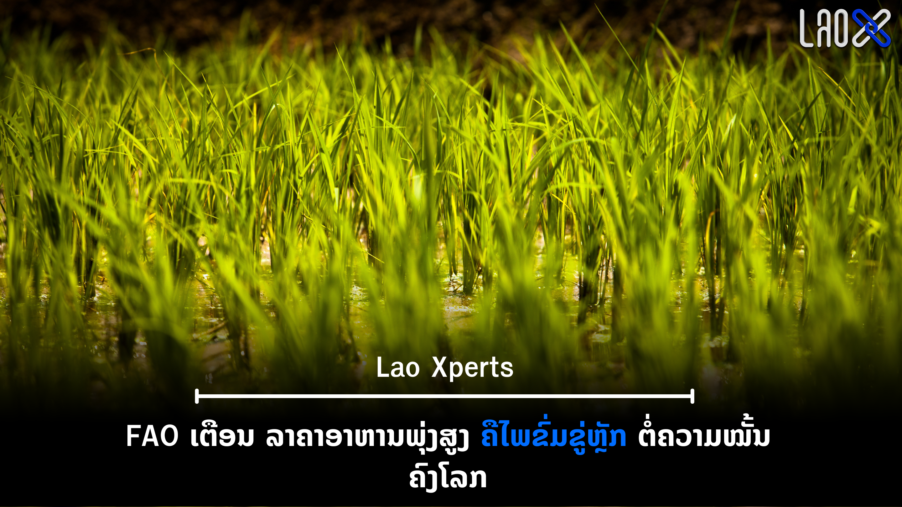 ປົກເວັບ 2026 10 15T105458 541
